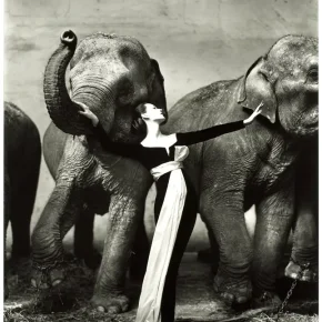 Richard Avedon